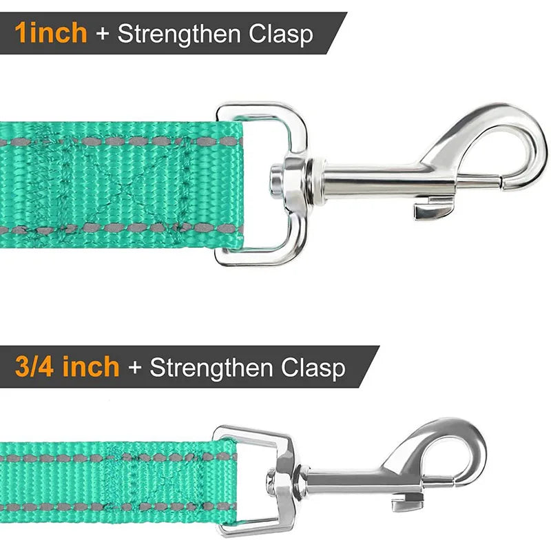 Reflective Night Walk Training Leash