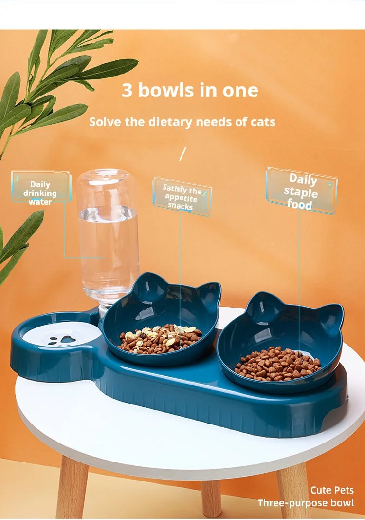 3-in-1 Tilted Bowl Set with Water Feeder