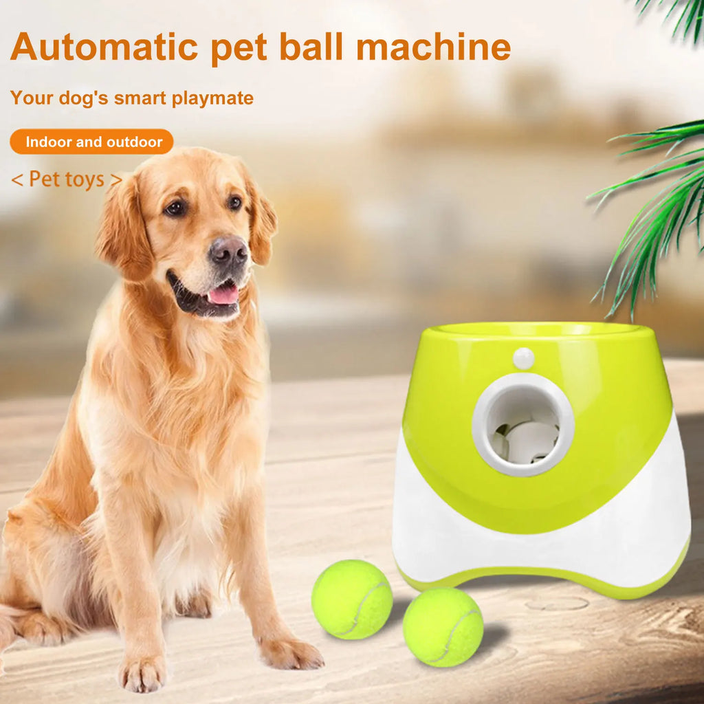 Automatic Tennis Ball Launcher for Dogs