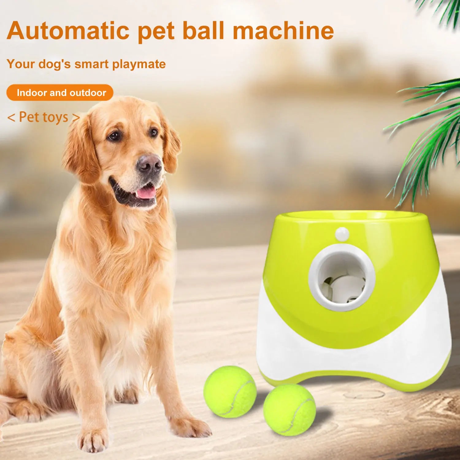 Automatic Tennis Ball Launcher for Dogs
