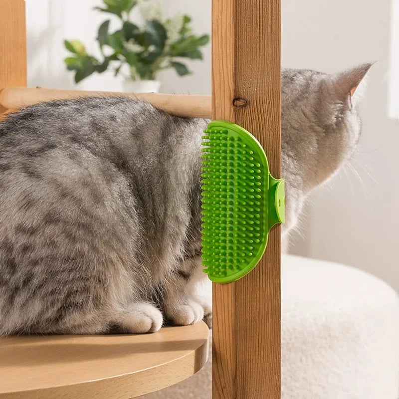 Soft Rubber Grooming & Bath Brush