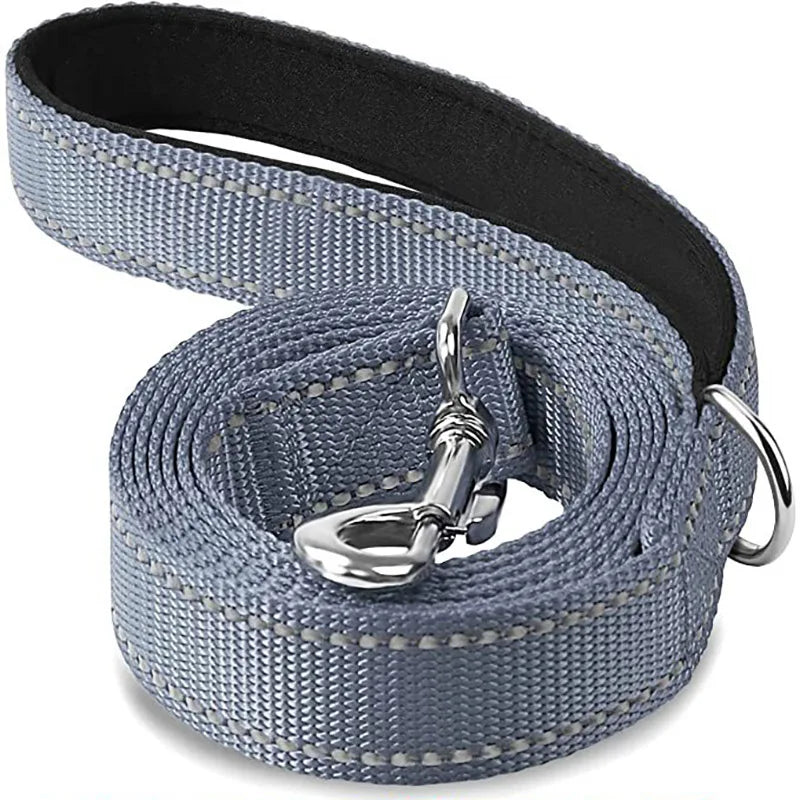 Reflective Night Walk Training Leash