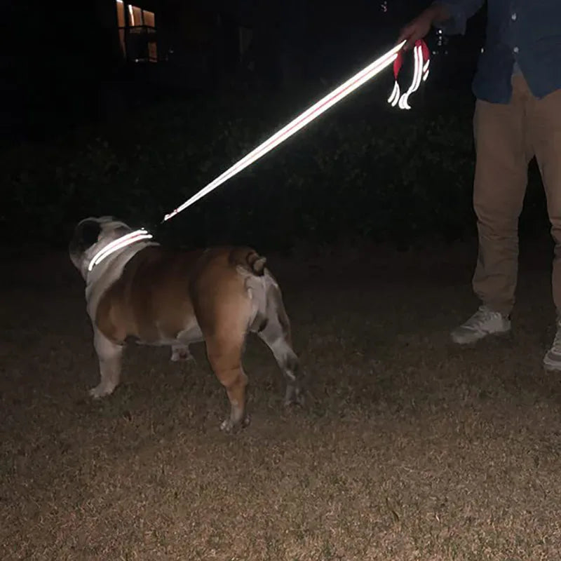 Reflective Night Walk Training Leash