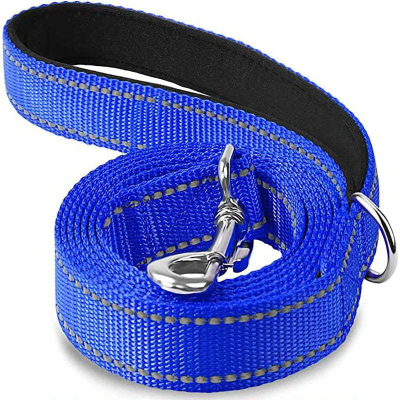 Reflective Night Walk Training Leash