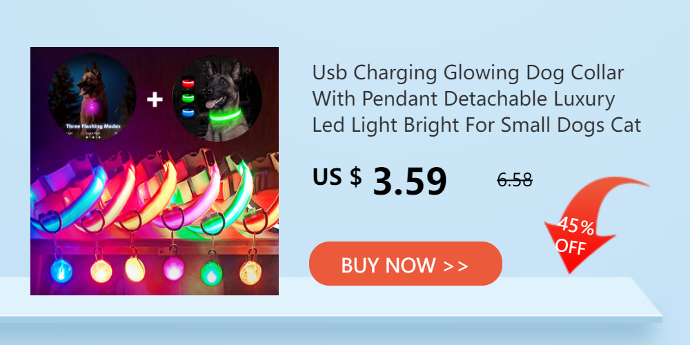 LED Safety Dog Collar – Rechargeable