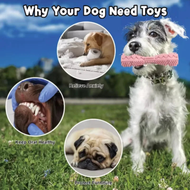 Chew & Treat Dental Stick – Bite Resistant