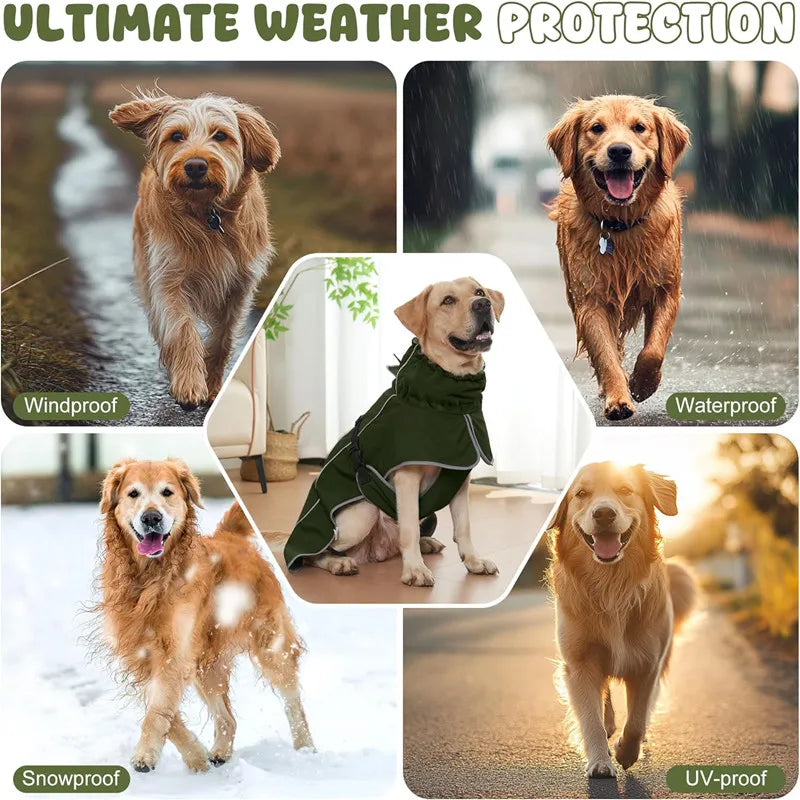 Adjustable Dog Raincoat – Hooded