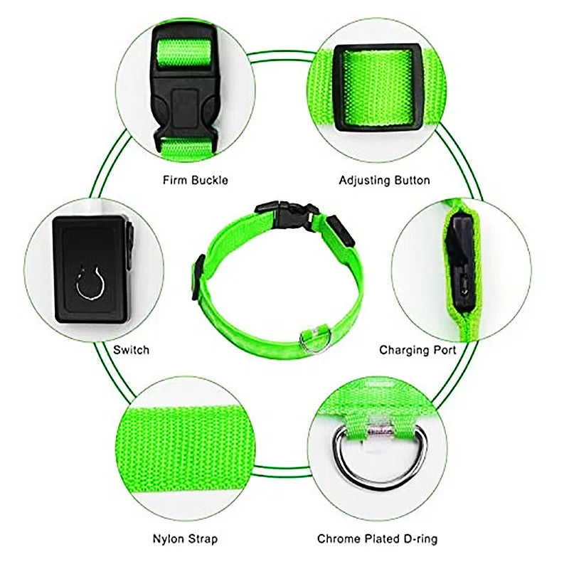 LED Safety Dog Collar – Rechargeable