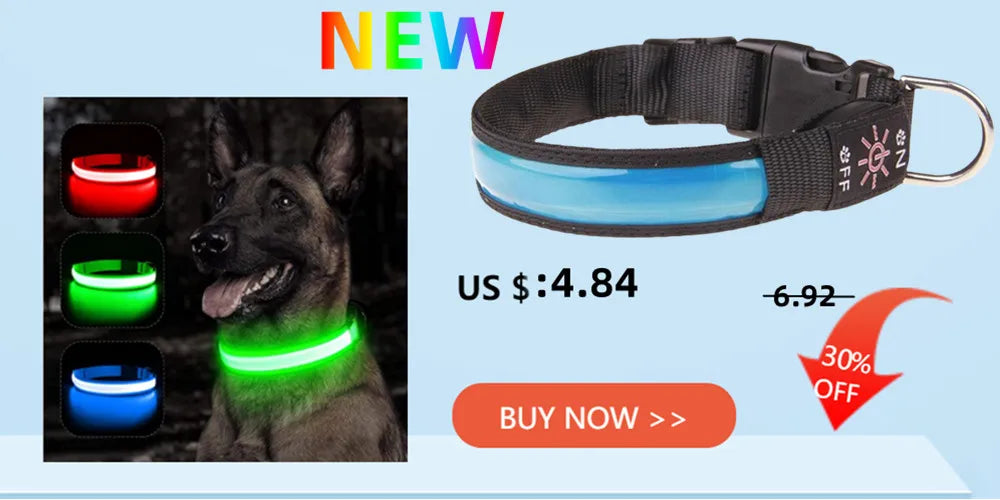 LED Safety Dog Collar – Rechargeable