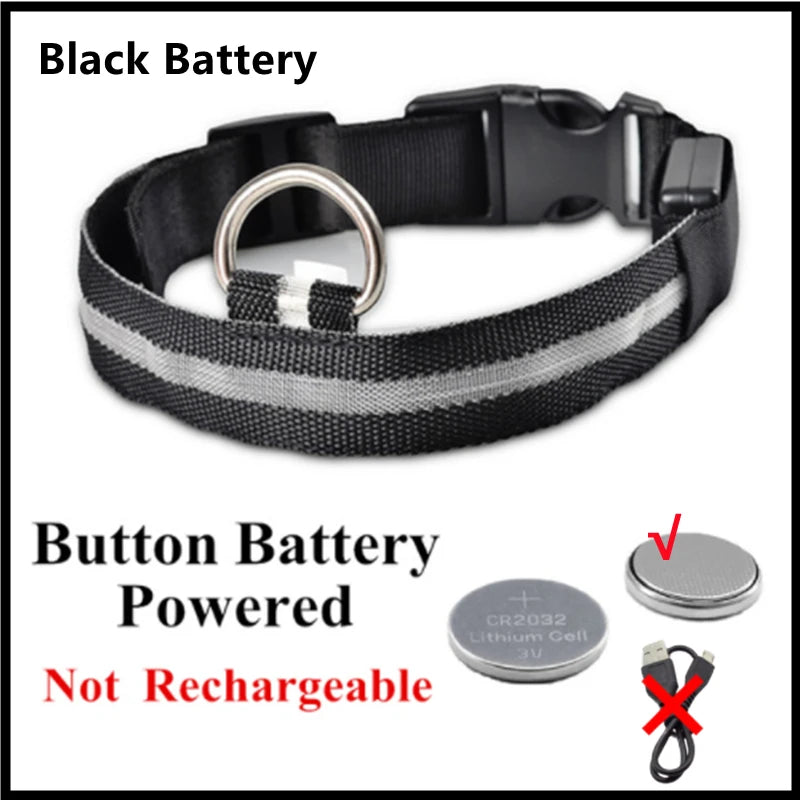LED Safety Dog Collar – Rechargeable