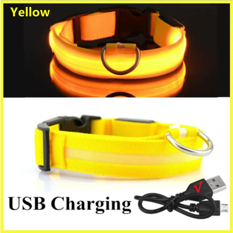 LED Safety Dog Collar – Rechargeable