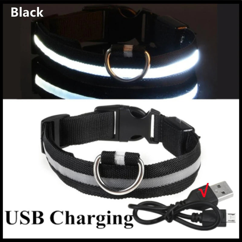 LED Safety Dog Collar – Rechargeable