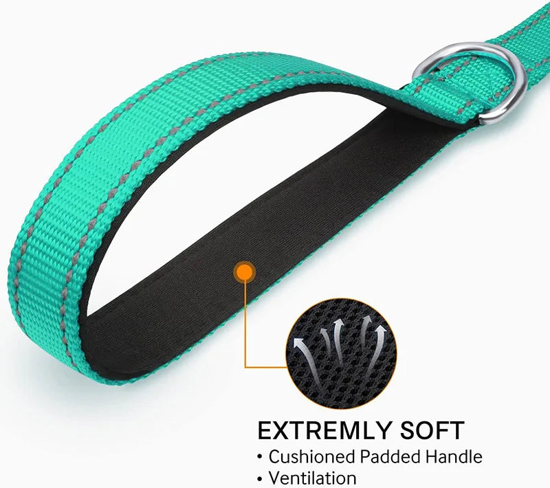 Reflective Night Walk Training Leash