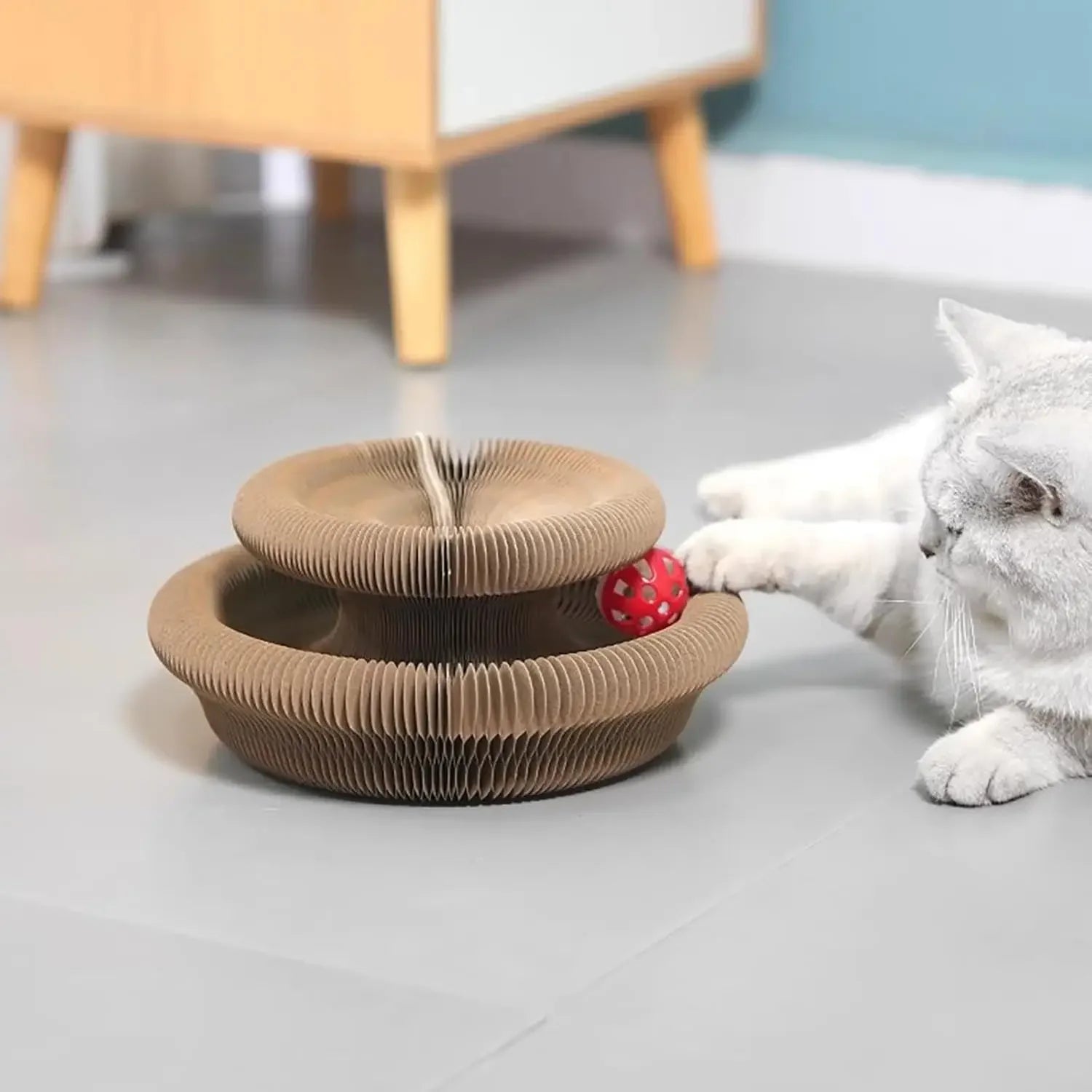 Spring Accordion Cat Scratch & Play Toy