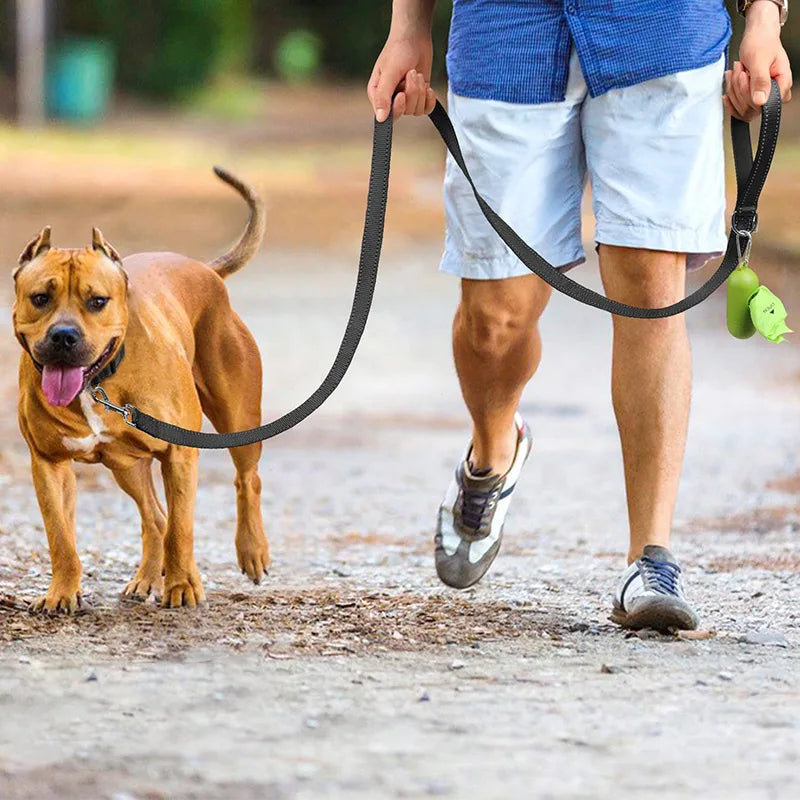 Reflective Night Walk Training Leash