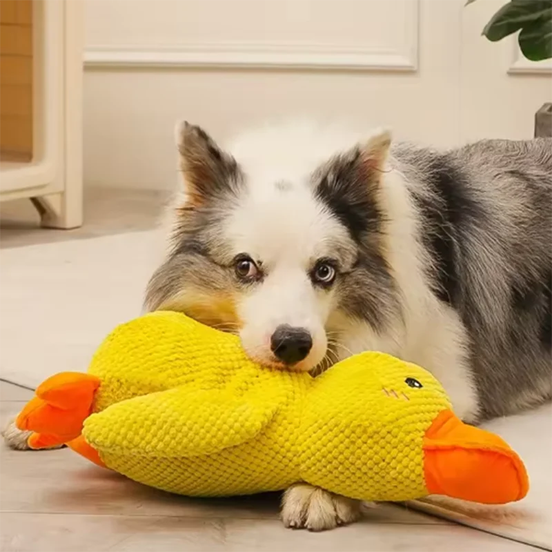 Squeaky Duck Plush Dog Toy