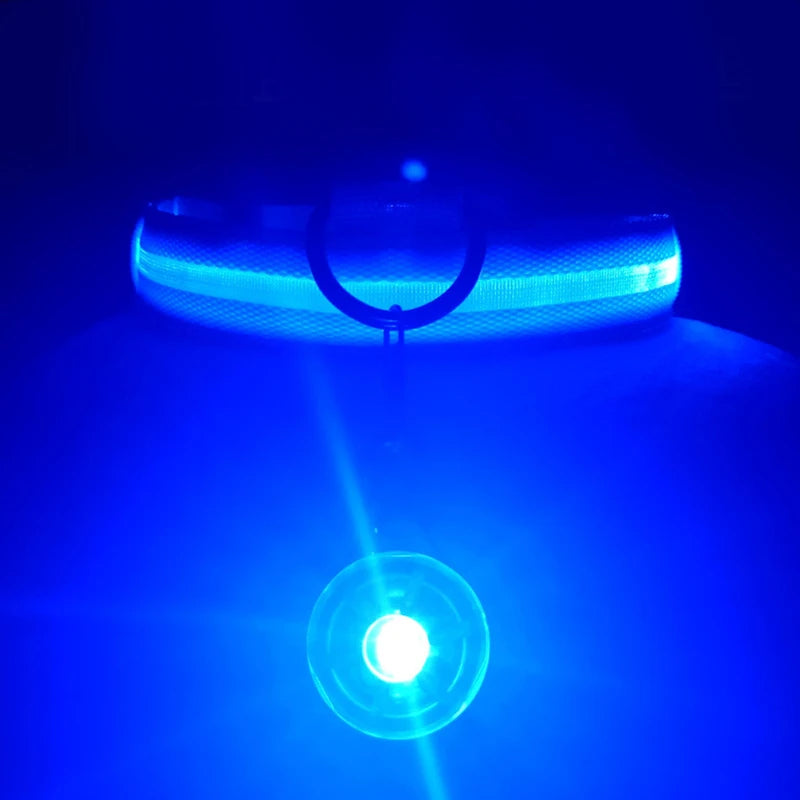 LED Safety Dog Collar – Rechargeable
