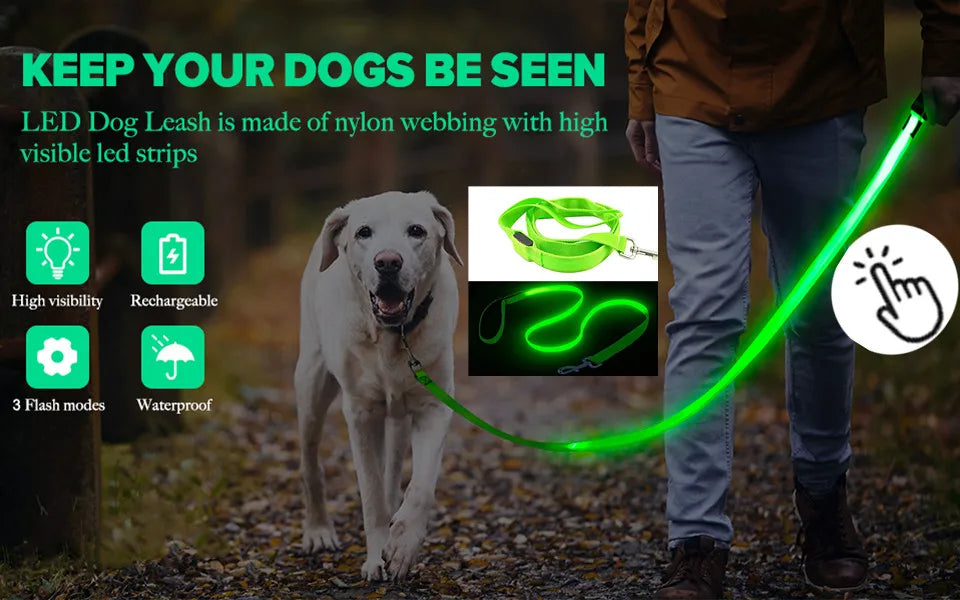 LED Safety Dog Collar – Rechargeable