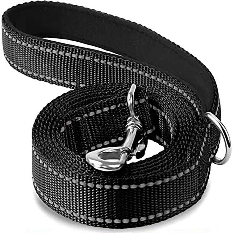 Reflective Night Walk Training Leash