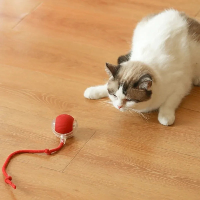 Smart Auto-Rolling Cat Ball – Rechargeable