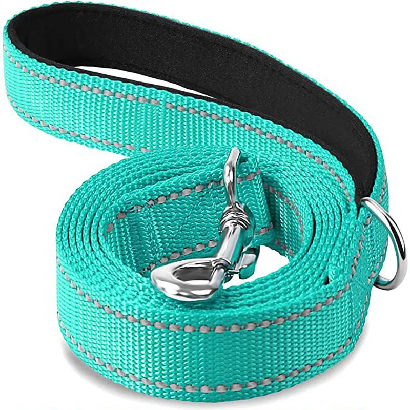 Reflective Night Walk Training Leash