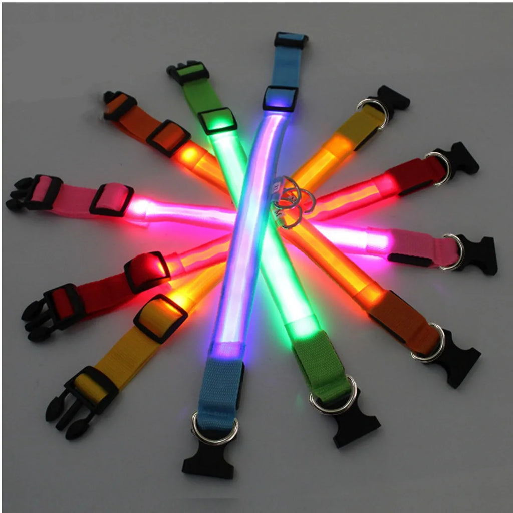 LED Safety Dog Collar – Rechargeable
