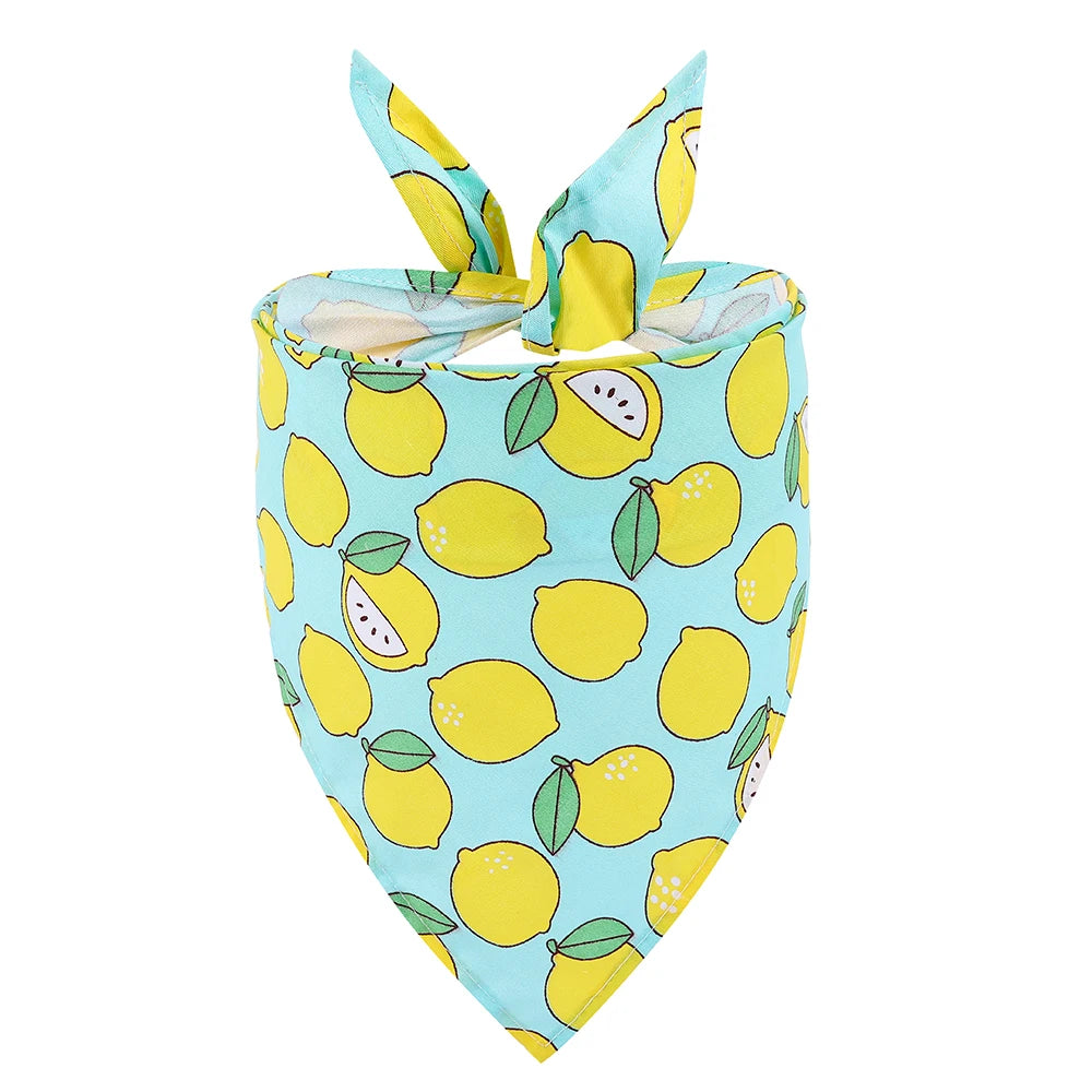Summer Fruit Pet Bandana