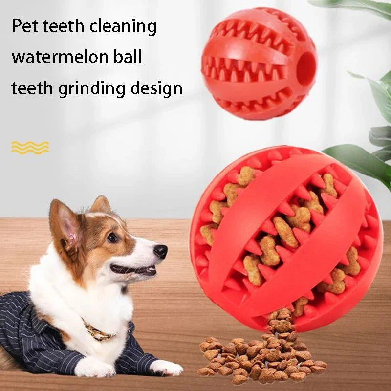 Slow Feeder Treat Ball – Anti-Gulp
