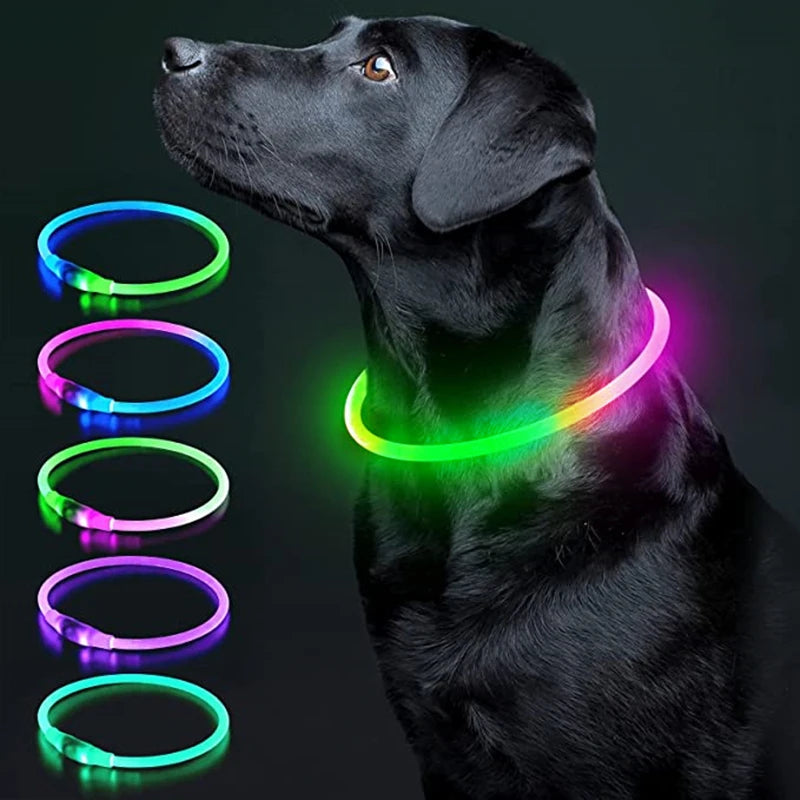 LED Safety Dog Collar – Rechargeable