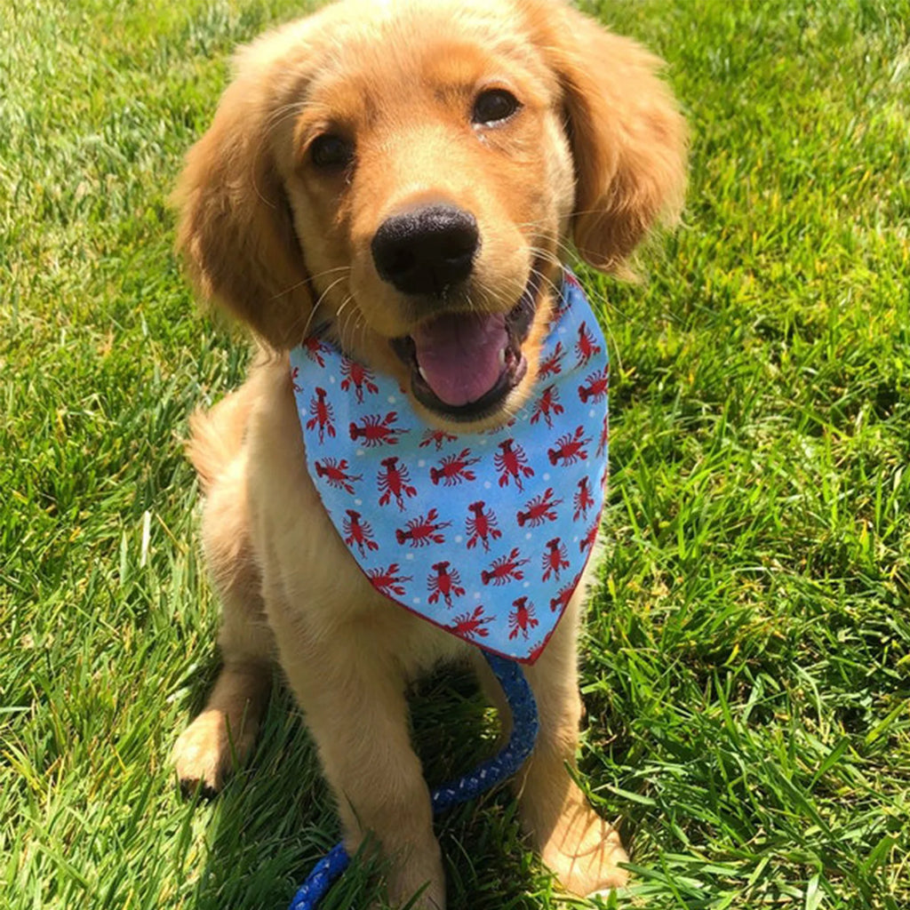 Adjustable Pet Bandana – Soft Cotton