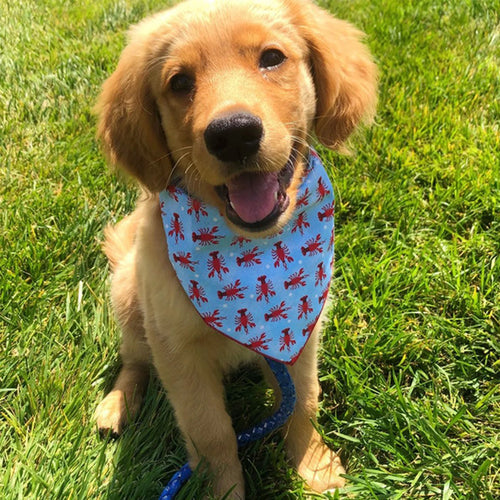 Adjustable Pet Bandana – Soft Cotton