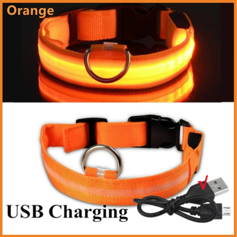 LED Safety Dog Collar – Rechargeable