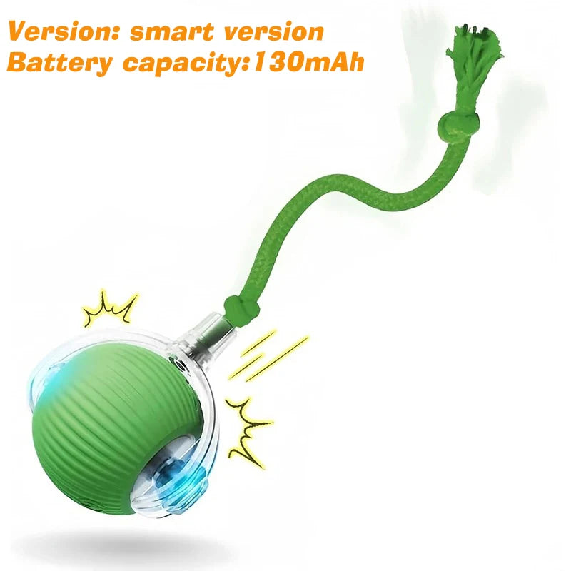 Smart Auto-Rolling Cat Ball – Rechargeable