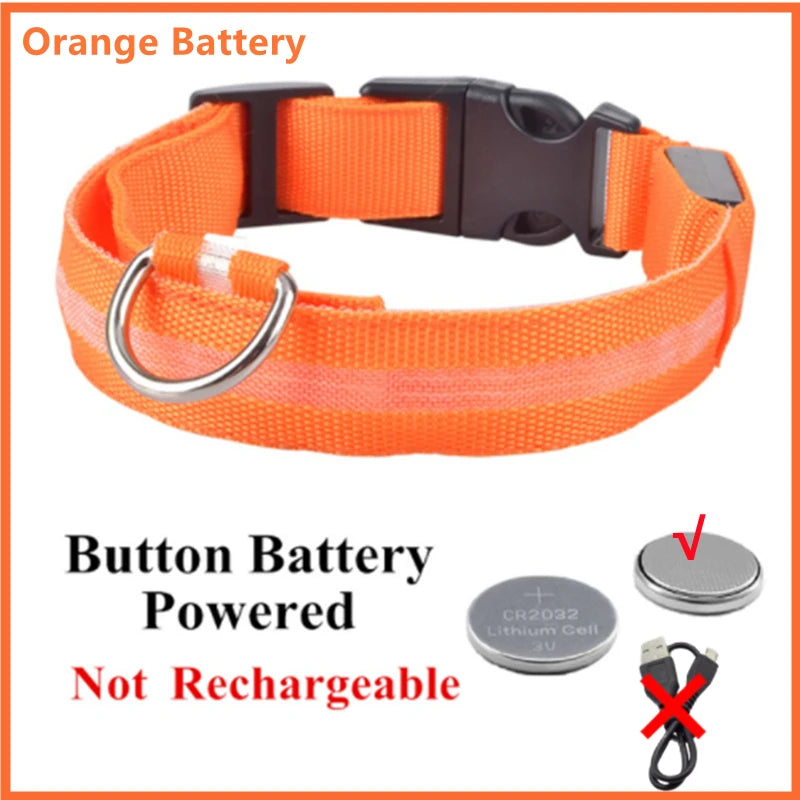 LED Safety Dog Collar – Rechargeable