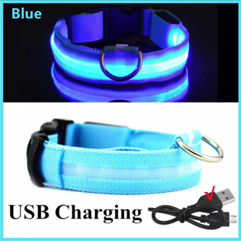 LED Safety Dog Collar – Rechargeable