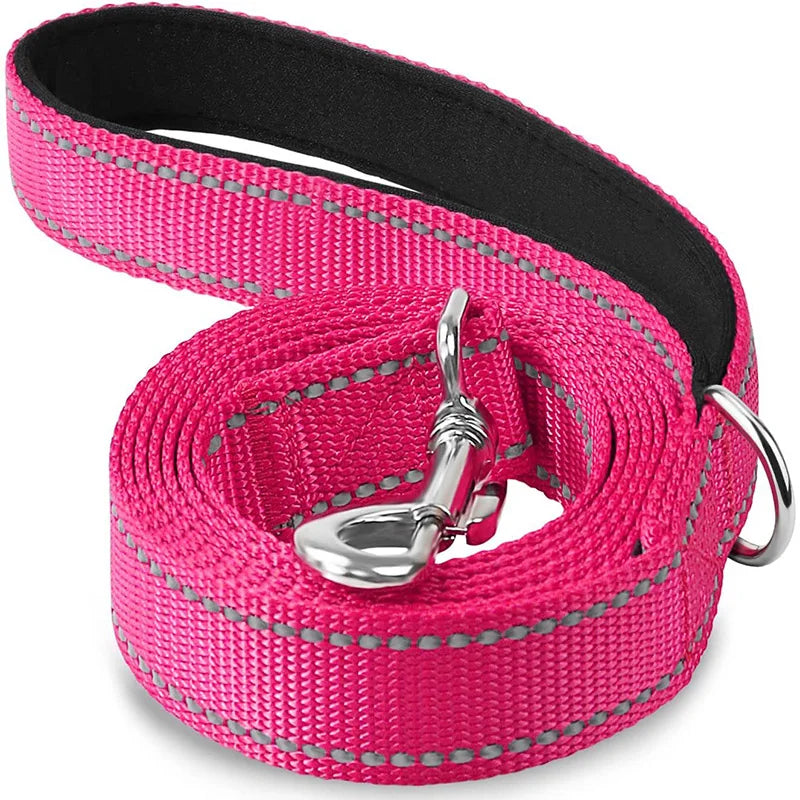 Reflective Night Walk Training Leash