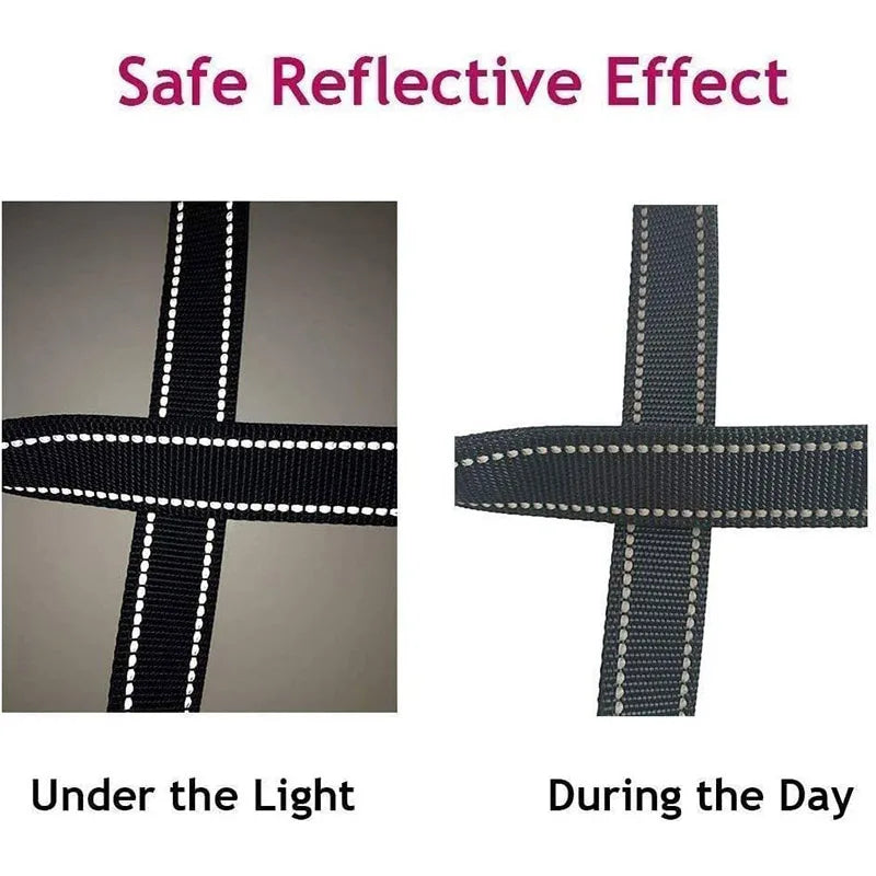 Reflective Night Walk Training Leash