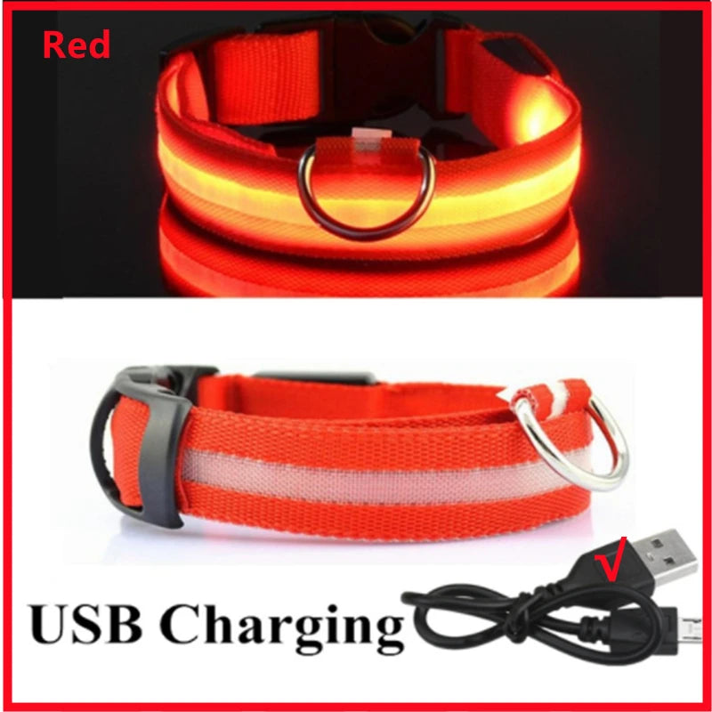 LED Safety Dog Collar – Rechargeable