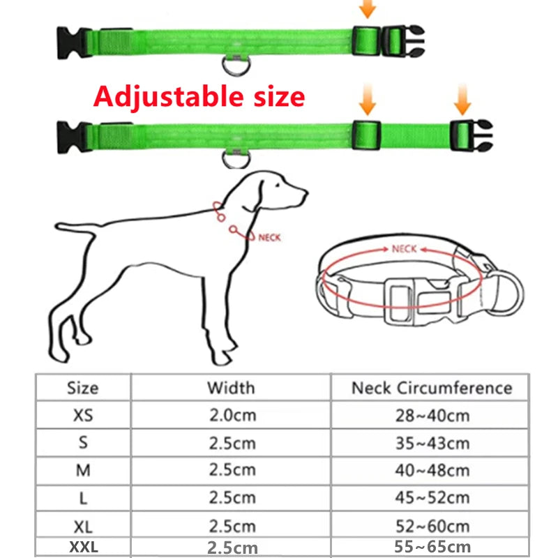 LED Safety Dog Collar – Rechargeable