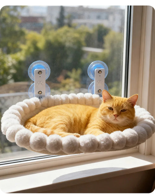 Cat Window Hammock with Suction Cups