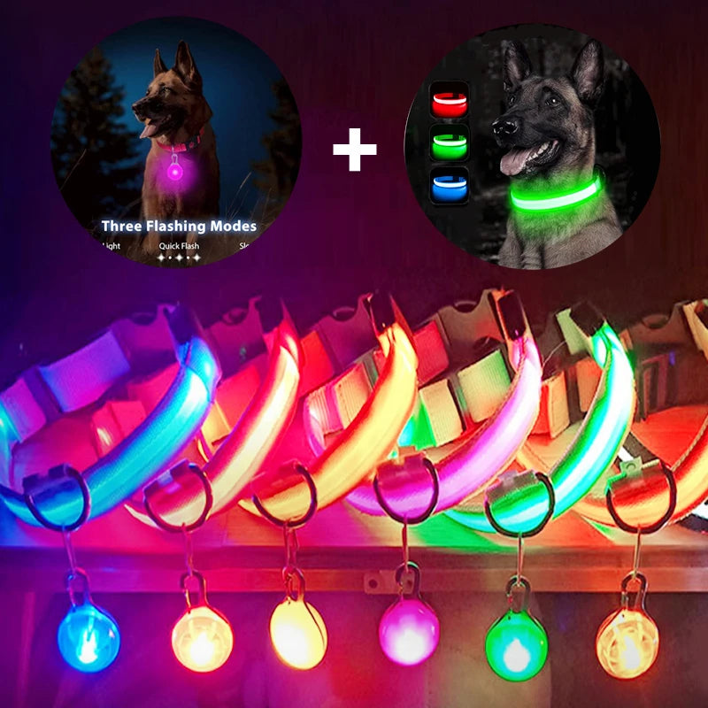 LED Safety Dog Collar – Rechargeable