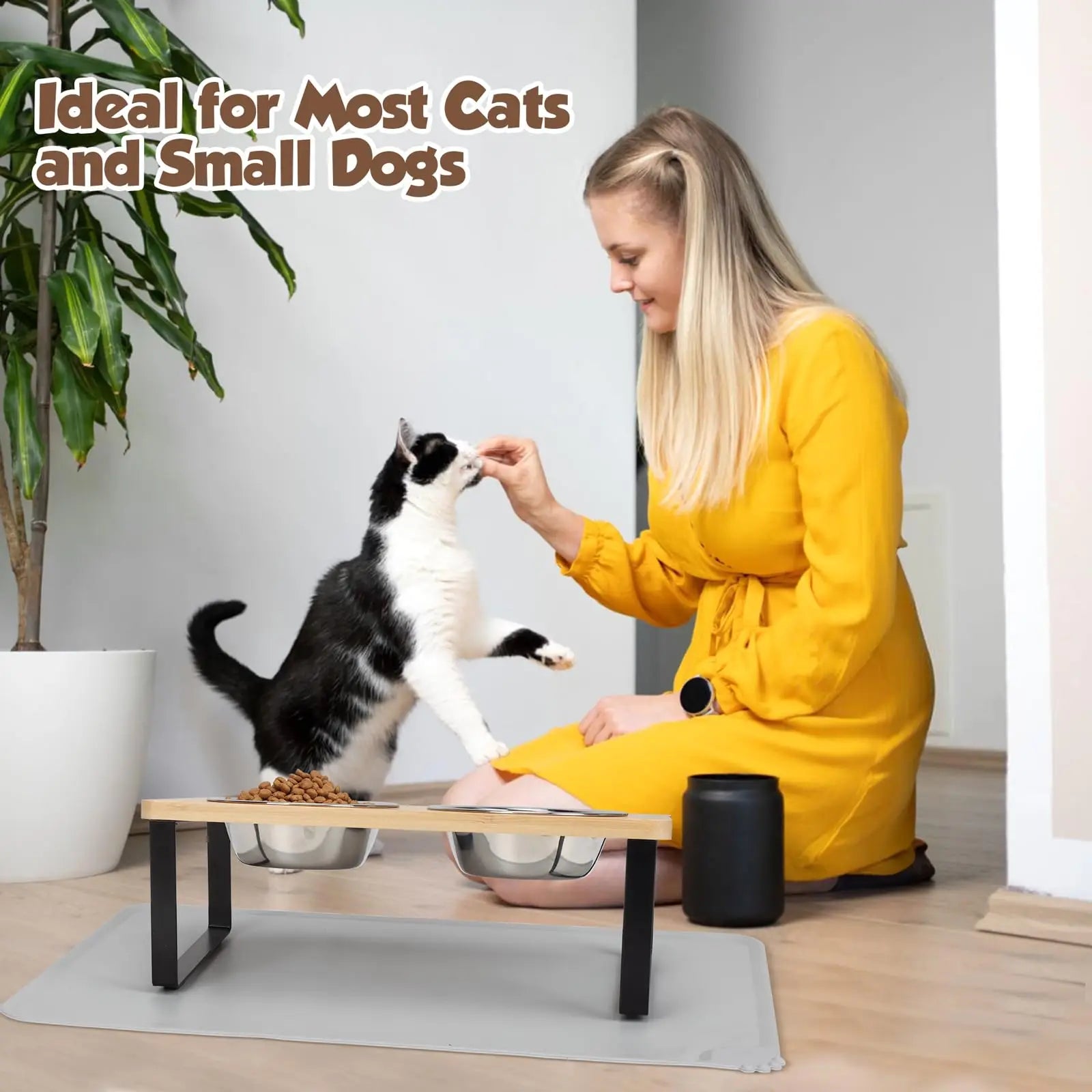 Elevated Stainless Steel Cat Bowl Set – 15° Tilt