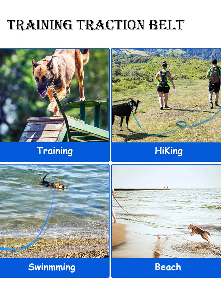 Extra Long Heavy-Duty Training Leash