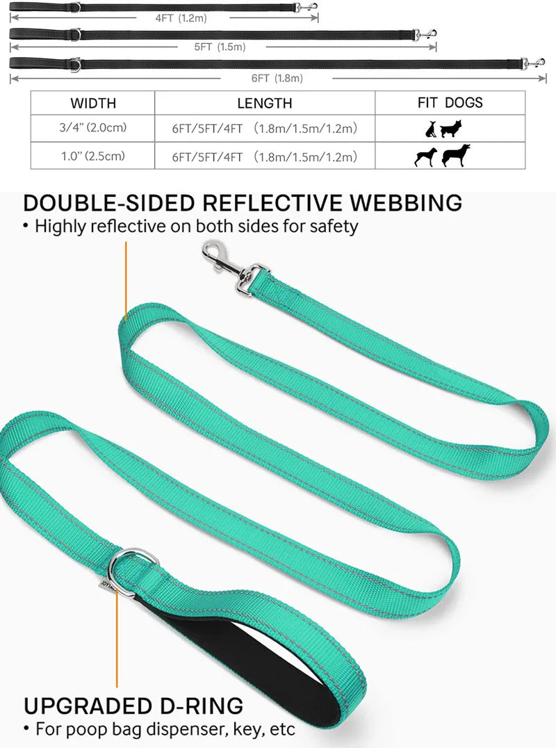 Reflective Night Walk Training Leash