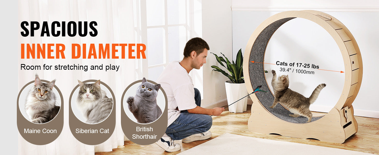 Wooden Cat Exercise Wheel – Indoor Fitness