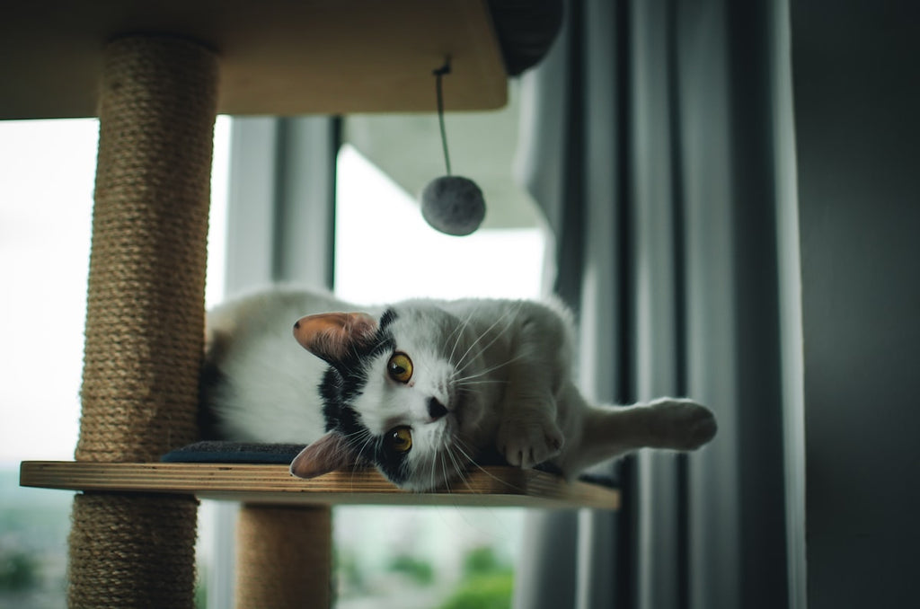 L-Shaped Cat Scratching Post with Bell Toy