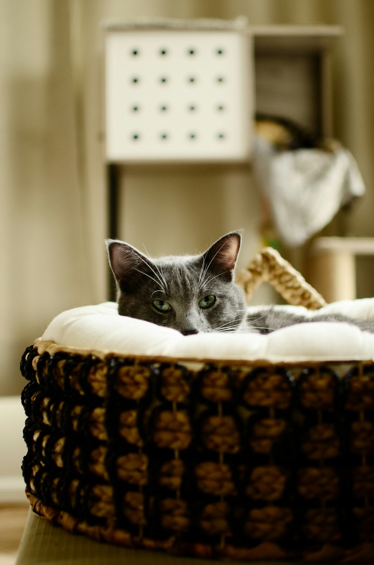 Handwoven Natural Vine Cat Basket