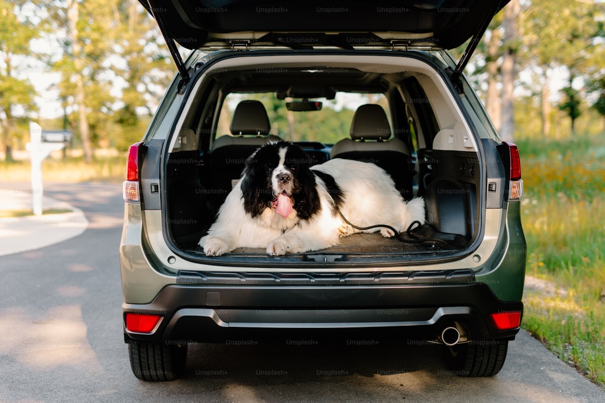 Waterproof Dog Car Seat Hammock Cover