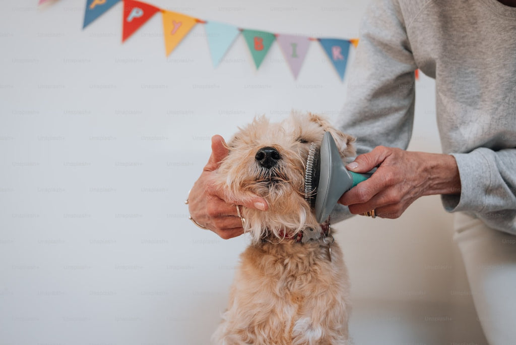 Pet Paw Foam Cleaner – No-Rinse