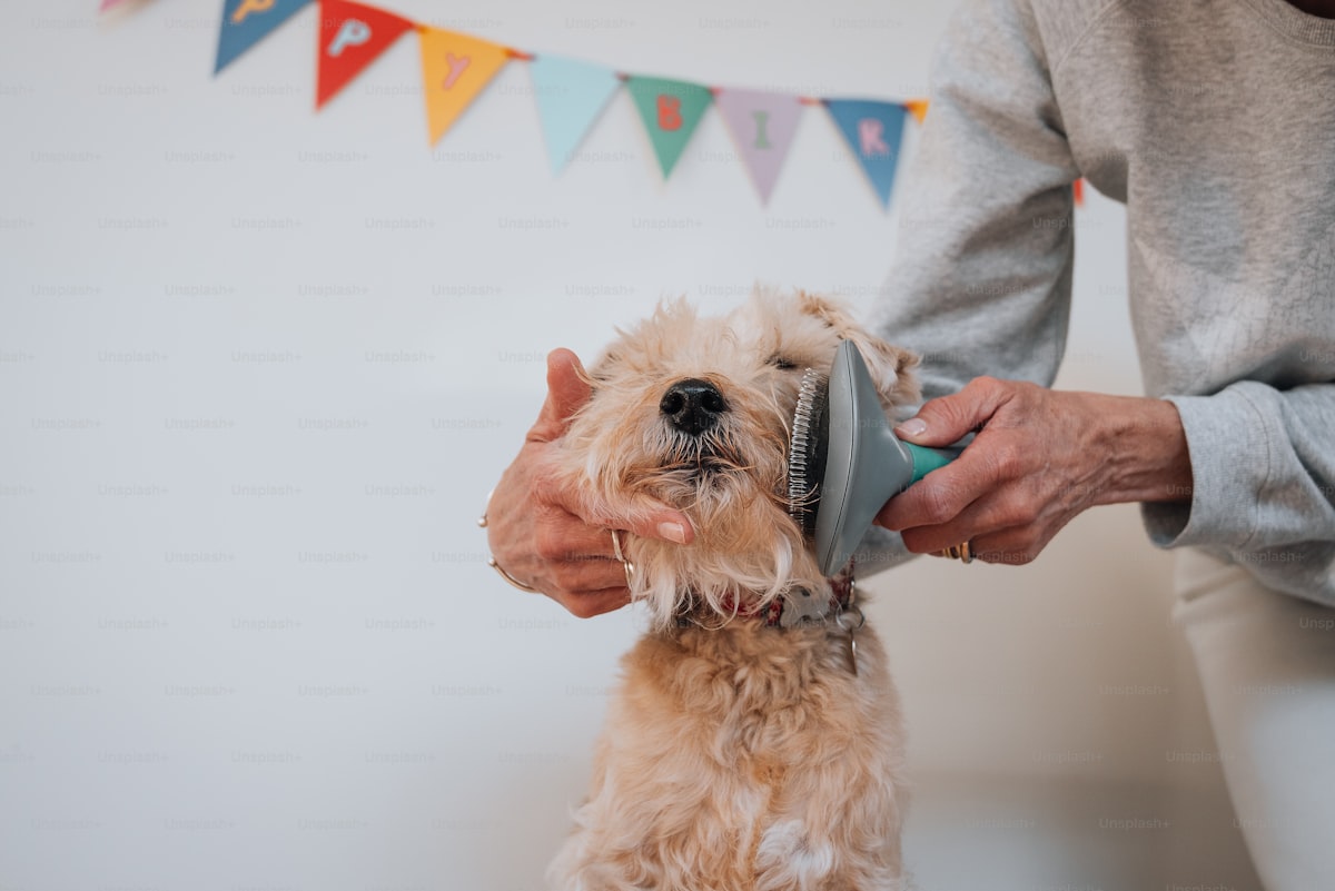 Pet Paw Foam Cleaner – No-Rinse